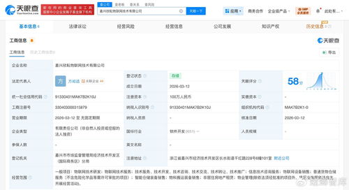 菜鳥網絡再布局物聯網賽道，同日成立兩家技術公司聚焦信息服務